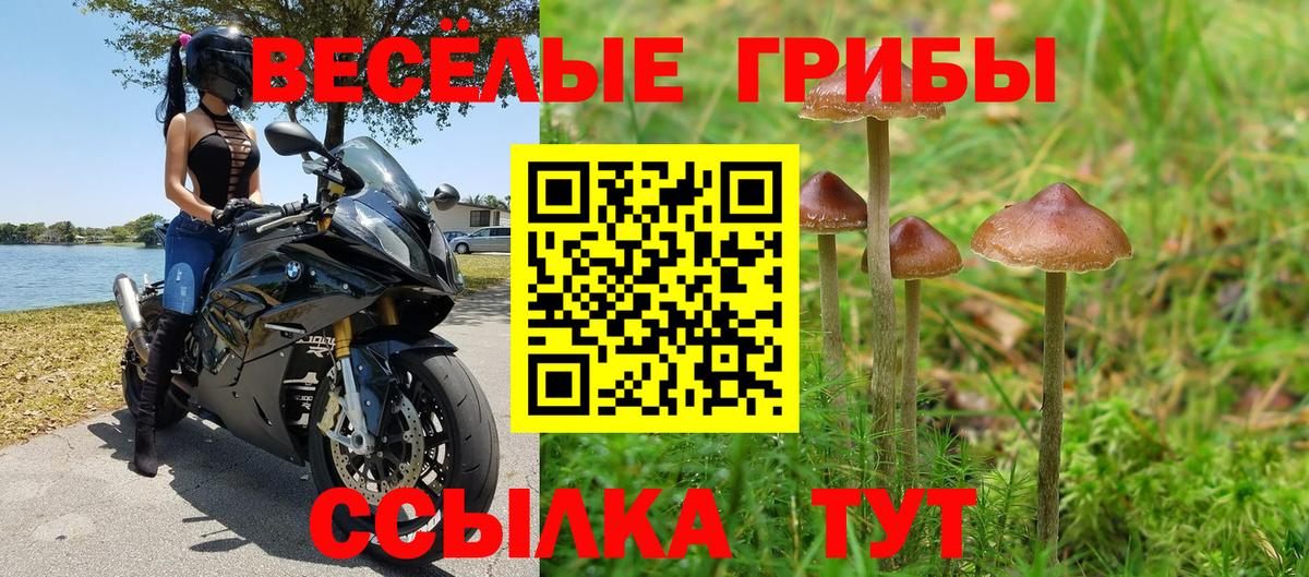 Меф   MDMA  Кыштым  КОКАИН  МЕТАМФЕТАМИН  ГАШ  Вход с VPN  Каннабис 