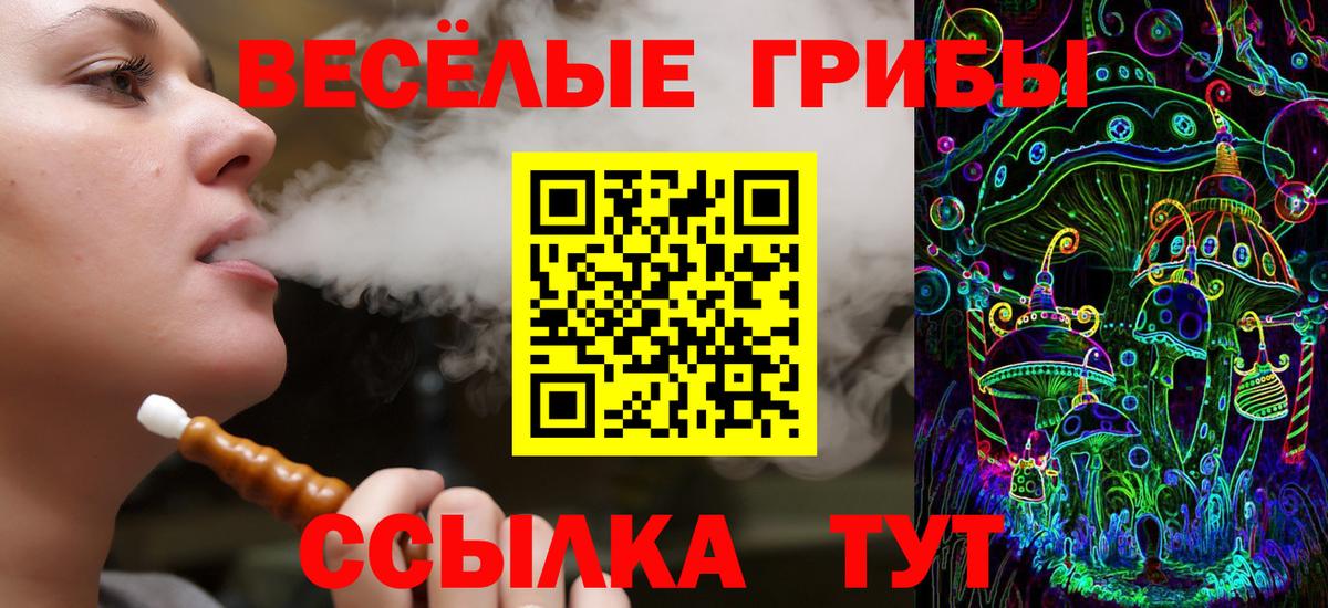 Псилоцибиновые грибы мицелий Кыштым