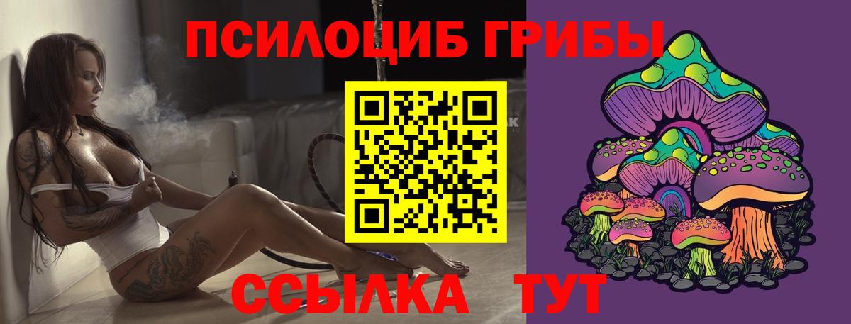 Псилоцибиновые грибы мицелий  Вход с VPN  Кыштым  Псилоцибиновые грибы мицелий 